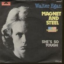 8.9 Walter Egan - Magnet_and_Steel