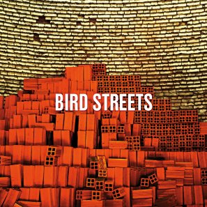 12.17 49.Bird Streets