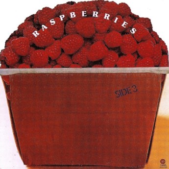 6.4 raspberries - side 3