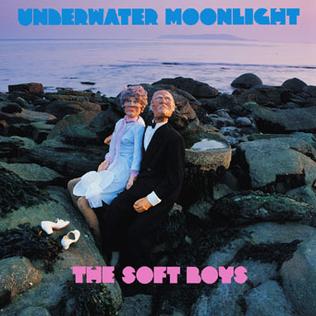 7.24 The Soft Boys - Underwater Moonlight