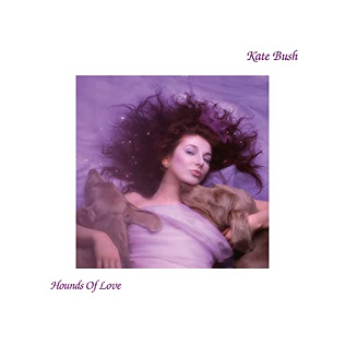 8.20 Kate Bush - Hounds of Love