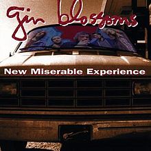 9.17 Gin Blossoms - New Miserable Experience