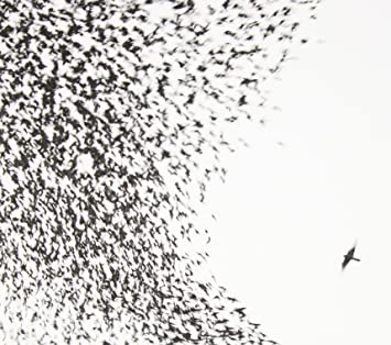 10.13 Wilco - Sky Blue Sky