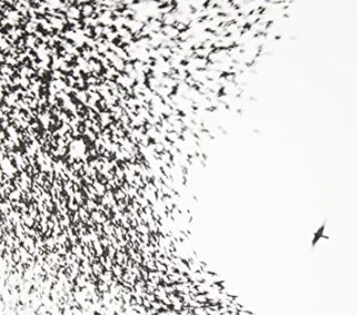 10.13 Wilco - Sky Blue Sky